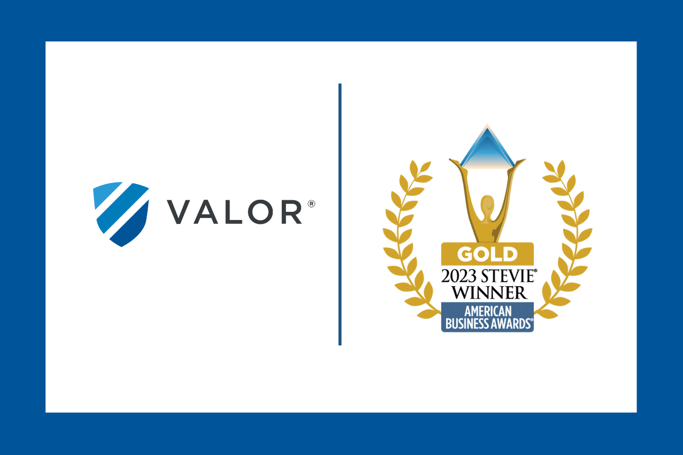Valor Honored As Gold Stevie® Award Winner